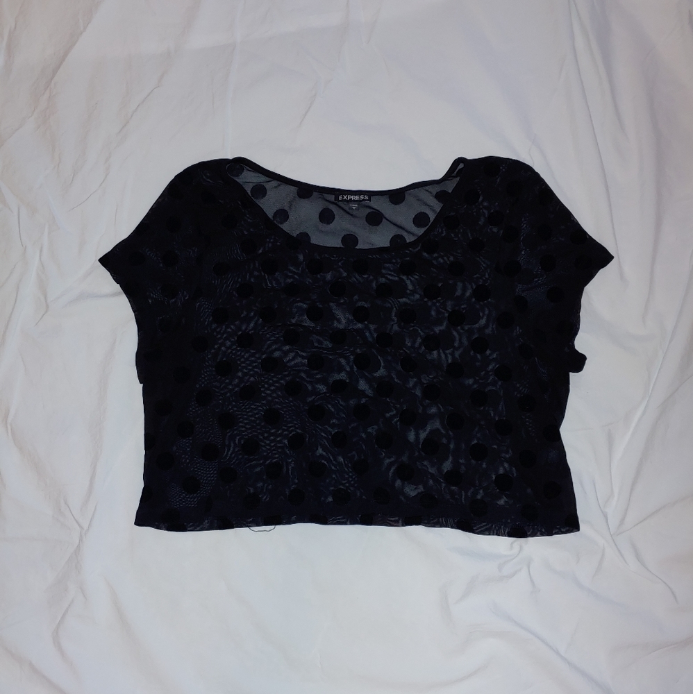 Express sheer polka dot crop top